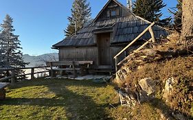 Chalet Kosutnik Velika Planina